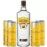 Combo Gin Gordons Tropical