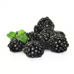 Blackberry Brasso Tray 250 G