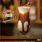 baileys frozen