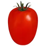 Tomate Italiano Médio