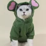 Disfraz de Ranita