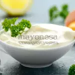 CASUELA DE MAYONESA