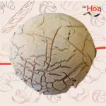 Mogolla Mexicana