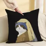 Funda para cojin