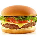 Xis burguer simples
