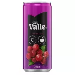 Suco Del Valle de Uva