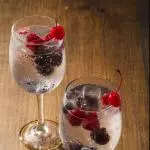 GIN TONIC L´INCANTO