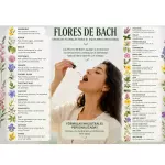 Flores de Bach 30 ml