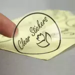 Stickers Transparentes 250 piezas
