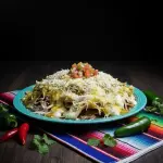 Nachos con pollo