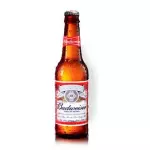 CERVEJA BUDWEISER 330ML