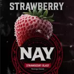 NAY: Strawberry Blast 🧙