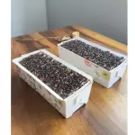Caseiro de cenoura e brigadeiro dark