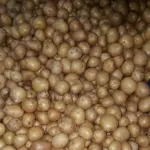PAPA SEMILLA MALLA 3 KILOS