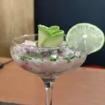 Ceviche Mixto Salmón Camarón
