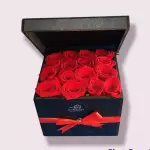 CAJA 049