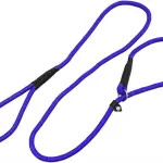Brida para entrenar