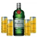 Combo Gin Tanqueray