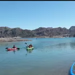 Alquiler Kayak Simple 60 min