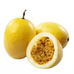 MARACUJÁ