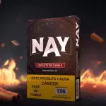 Nay Chiclete de Canela
