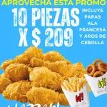 PROMO 10 piezas ,papas y aros