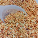 # CASTANHA DE CAJU - MOIDA