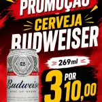 3 BUDWEISER 269ml por