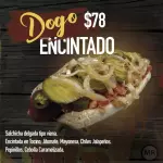 DOGO ENCINTADO