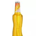 Skol Tropical