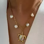 Cadena con dije de tortuga