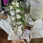 Box com orquidea denfhal doce