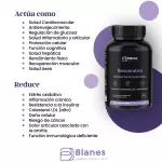 RESVERATROL BLANES 60 CAPS