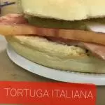 Tortuga