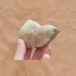 Cará moela (500g)