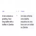 Tradução de Línguagens deste planeta