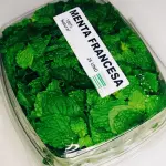 Menta Francesa x25 Unidades