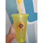 Vasos