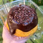 Mini Vulcão Cenoura com Chocolate