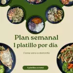 Plan semanal (188 c/platillo X5)