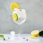 GIN Y TONIC