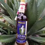 Mezcal de Pechuga de Maguey 40% Alc Vol