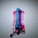 Collar de Puntos