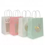 1273 BOLSA CON VISOR 23X18X10CM