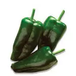 poblano