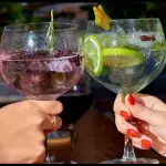 Gin & tonic clasico