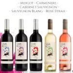 VINO VIENTOS DEL SUR