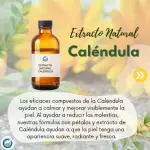 EXTRACTO HG CALENDULA
