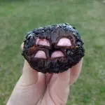 Brigadeirão 80g