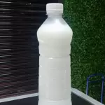 Calpico